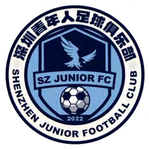 深圳青年人 深圳青年人