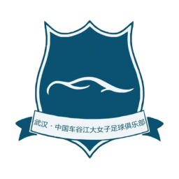 武汉车谷江大女足 武汉车谷江大女足